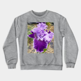 Iris Flower Purple Frilly Crewneck Sweatshirt